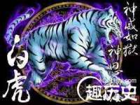 上海畅锦邦网络科技有限公司