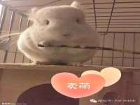 上海畅锦邦网络科技有限公司