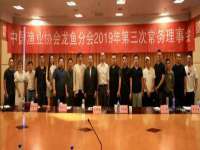 上海畅锦邦网络科技有限公司
