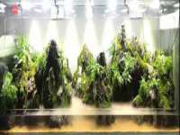 上海畅锦邦网络科技有限公司
