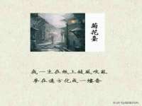 上海畅锦邦网络科技有限公司