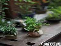 上海畅锦邦网络科技有限公司
