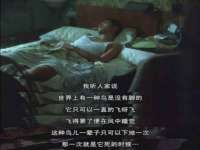 上海畅锦邦网络科技有限公司