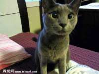 上海畅锦邦网络科技有限公司