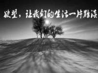 上海畅锦邦网络科技有限公司