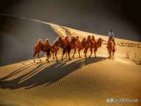 上海畅锦邦网络科技有限公司