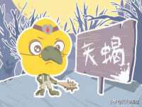 上海畅锦邦网络科技有限公司