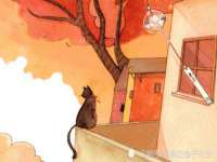 上海畅锦邦网络科技有限公司