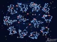 上海畅锦邦网络科技有限公司