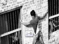 上海畅锦邦网络科技有限公司