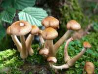 上海畅锦邦网络科技有限公司