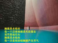 上海畅锦邦网络科技有限公司