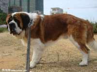 上海畅锦邦网络科技有限公司