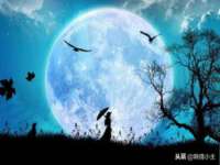 上海畅锦邦网络科技有限公司