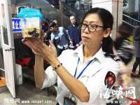 上海畅锦邦网络科技有限公司
