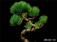 上海畅锦邦网络科技有限公司