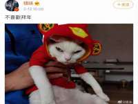 上海畅锦邦网络科技有限公司