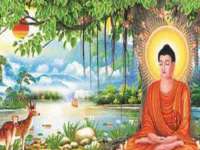 上海畅锦邦网络科技有限公司