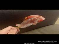上海畅锦邦网络科技有限公司